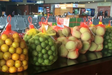 Kiểm tra chất lượng và nguồn gốc hoa quả bán ở sân bay Nội Bài